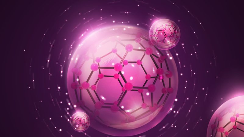 酶促反应步骤：精准掌握，助力科研高效推进**
