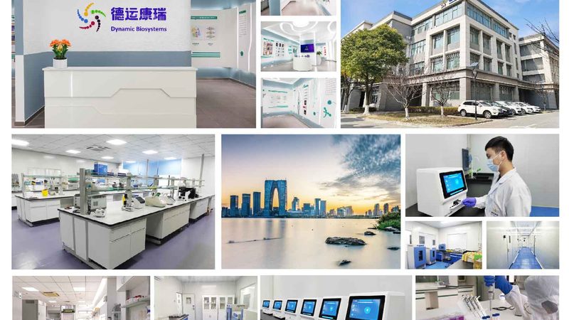 上海CDMO临床前研究：揭秘药物研发的关键一步