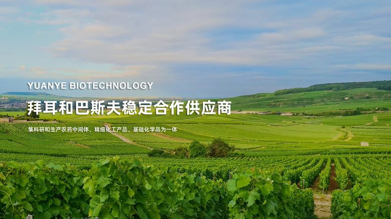 上海食品PCR检测机构：守护食品安全的关键力量