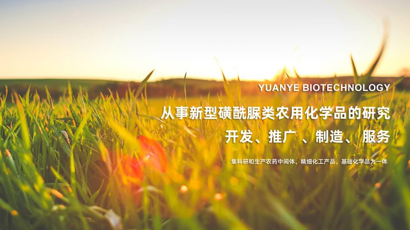 高校实验室耗材采购，如何规避误区，保障科研质量？**
