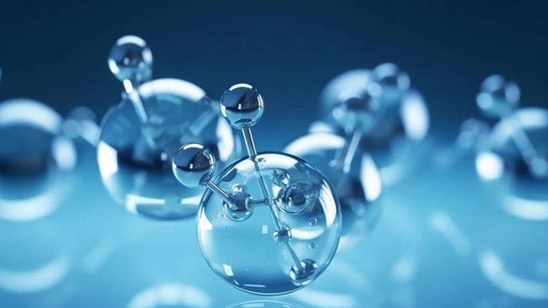 细胞培养，从入门到精通：步骤详解与关键要点**