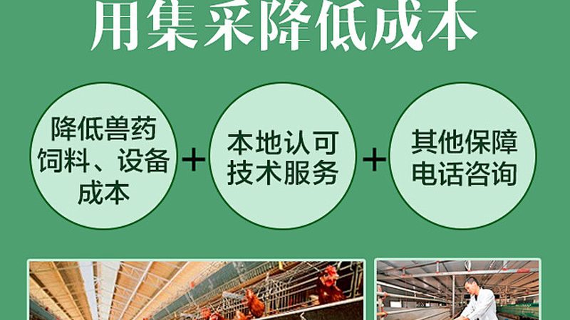 初创生物医药外包：如何规避潜在风险，选择可靠合作伙伴**
