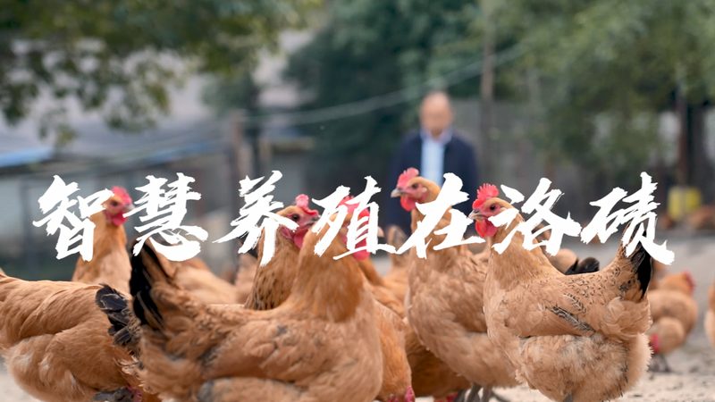 生物药企的CRO困局：本地化服务才是解药