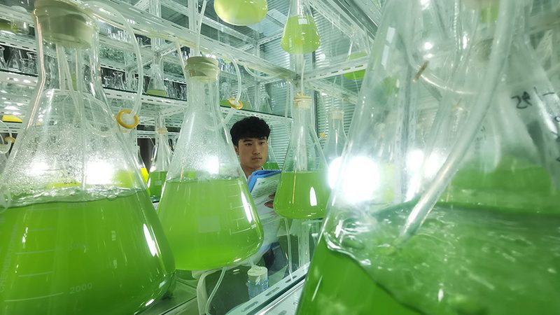 生物制品选品，如何避免踩坑？**
